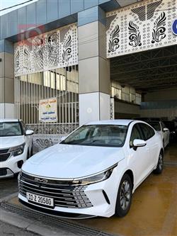 بی وای دی دیسترۆیەر 05